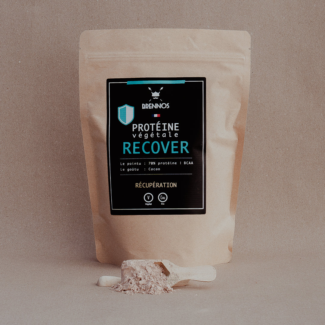 Protein Recover - Cacao