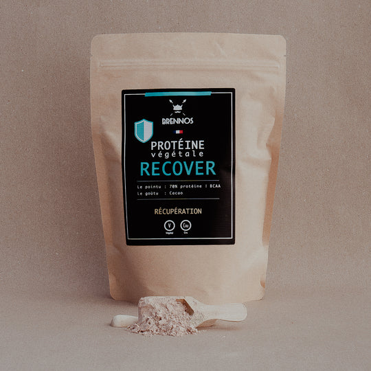 Protein Recover - Cacao